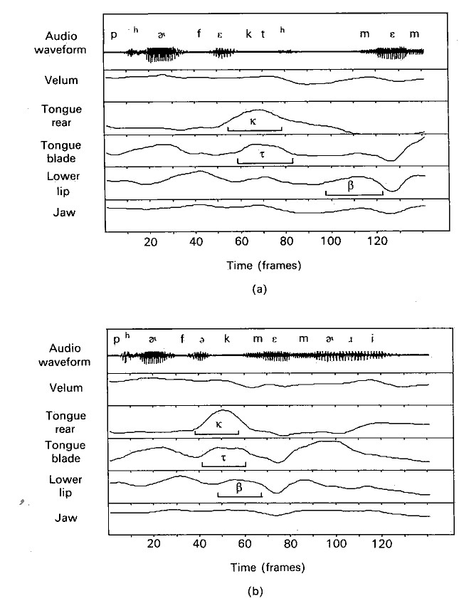 Multiple parallel articulatory parameters